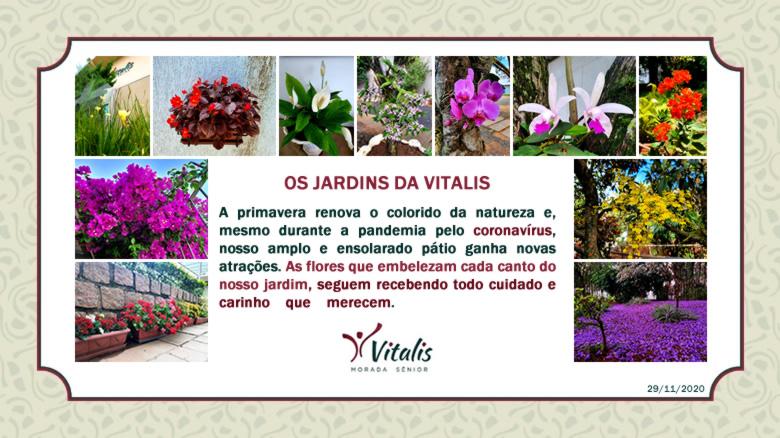 Informe 100 - Os floridos jardins da Vitalis